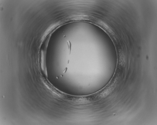 X0000069390986200605121207