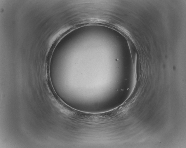 X0000069390987200605121207