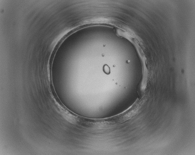 X0000069390988200605121206