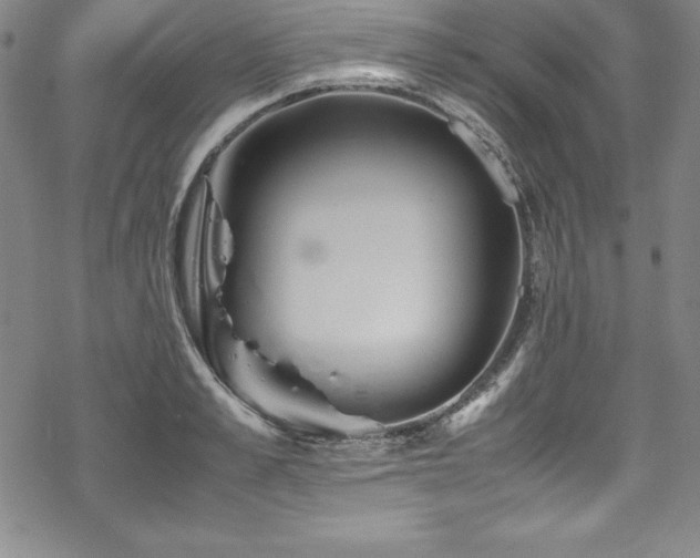 X0000069390989200605121206