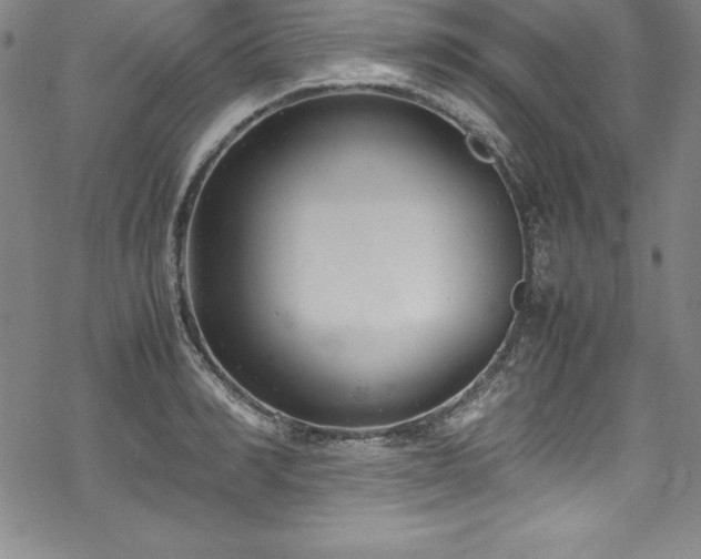 X0000069390990200605121206