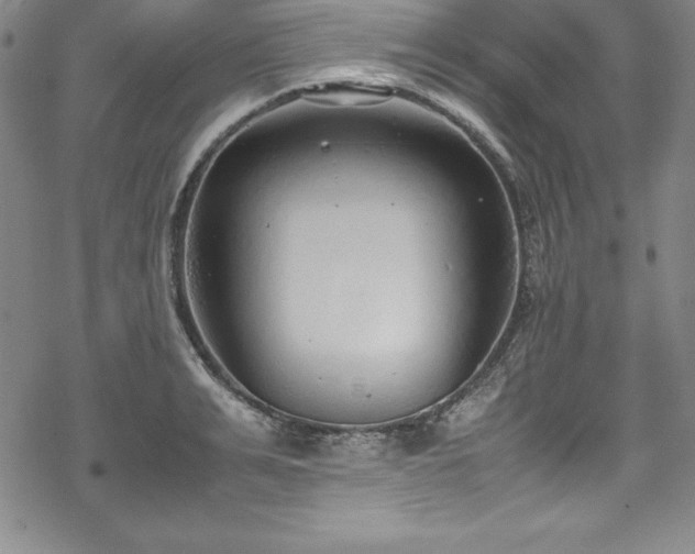 X0000069390991200605121206