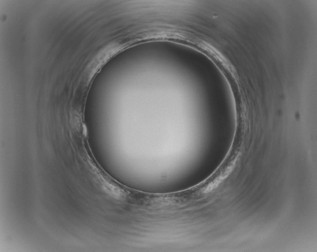 X0000069390993200605121206