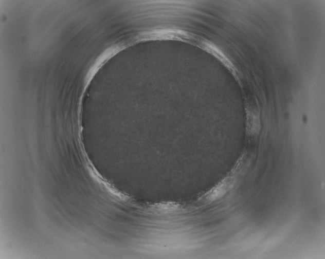 X0000069390994200605121206