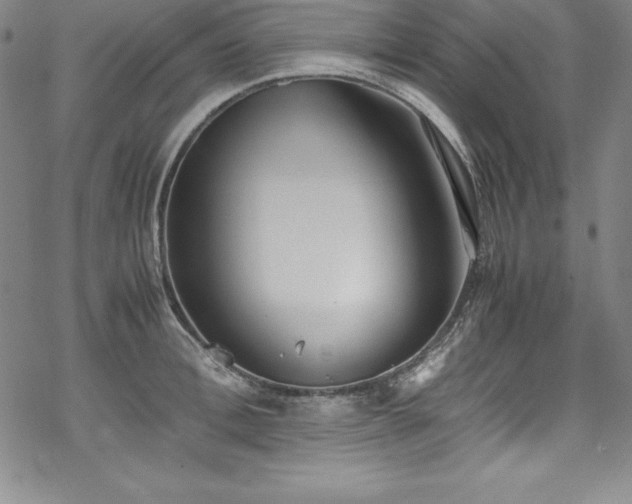 X0000069390996200605121206