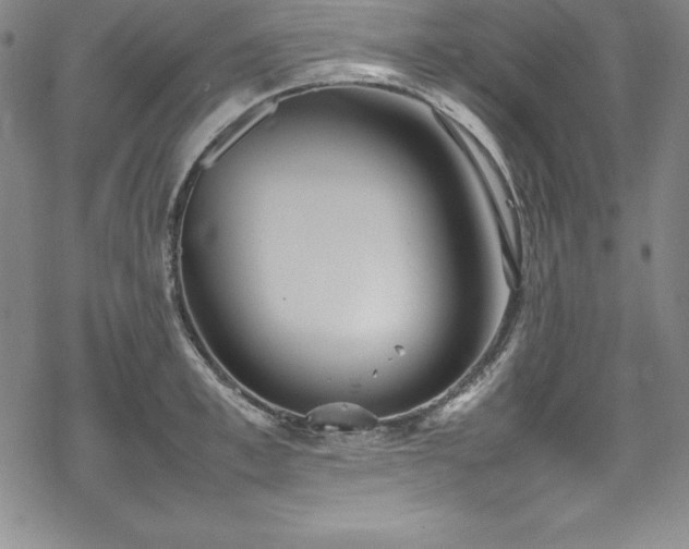 X0000069390997200605121206