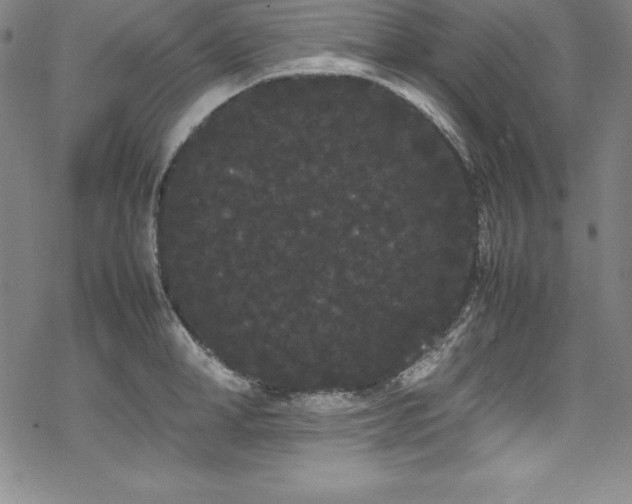 X0000069390998200605121206