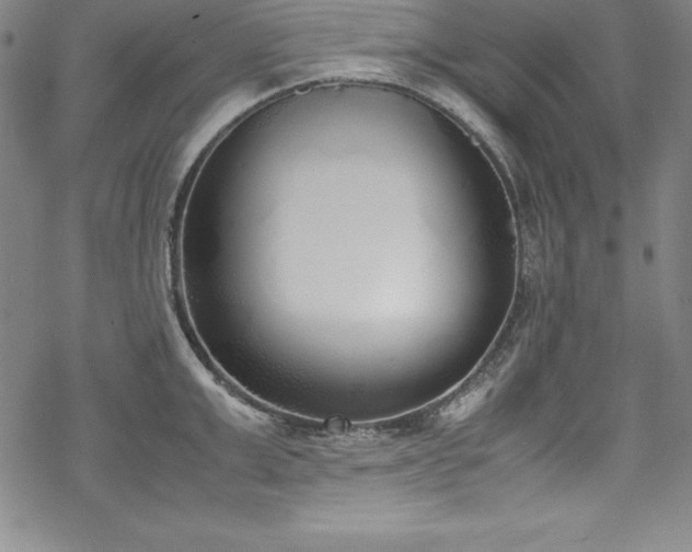 X0000069390999200605121206