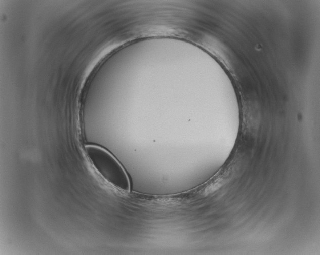 X0000069391000200605121206