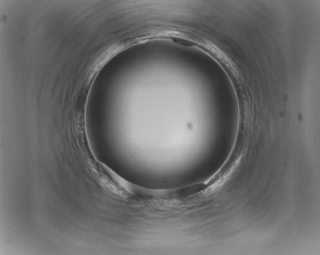 X0000069391001200605121206