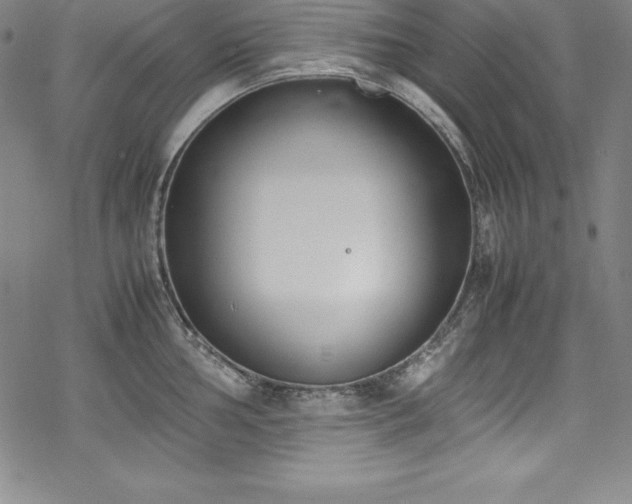 X0000069391002200605121206