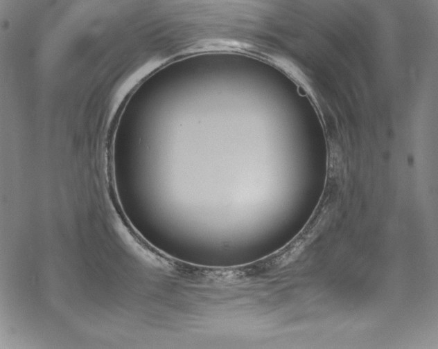 X0000069391003200605121206