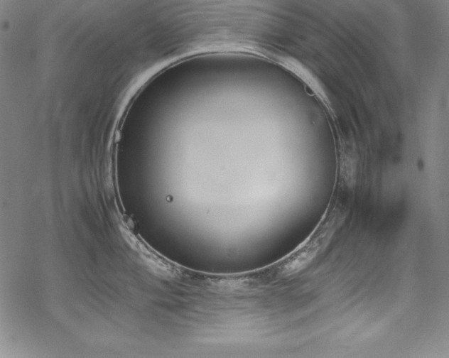 X0000069391004200605121206