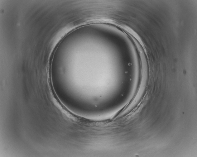 X0000069391005200605121206