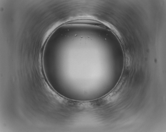 X0000069391006200605121206