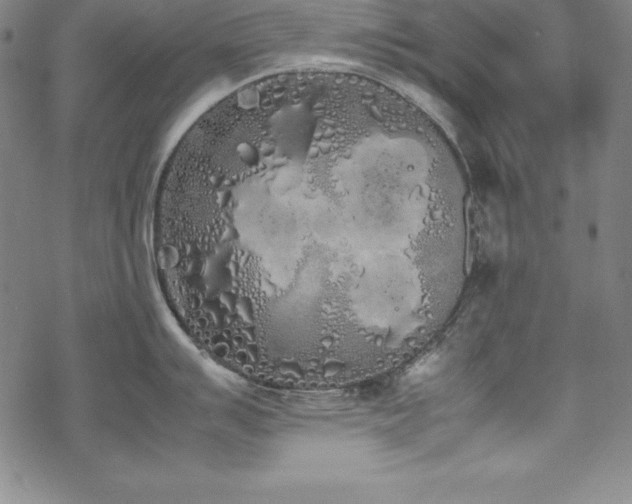 X0000069391007200605121206