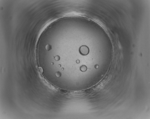 X0000069391008200605121206