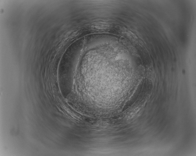 X0000069391009200605121205