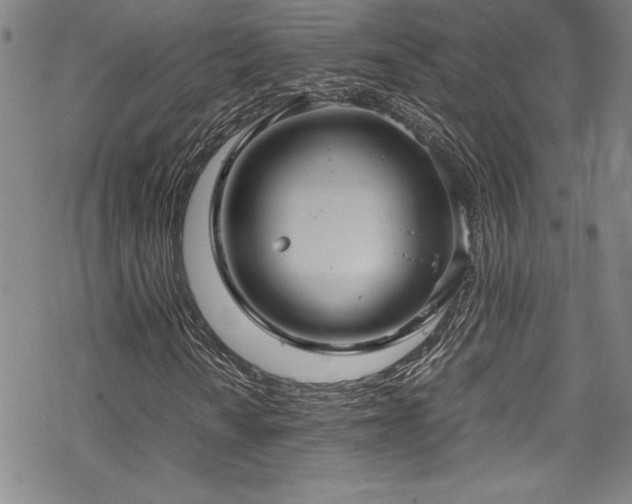 X0000069391010200605121205