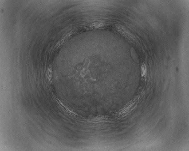 X0000069391011200605121205