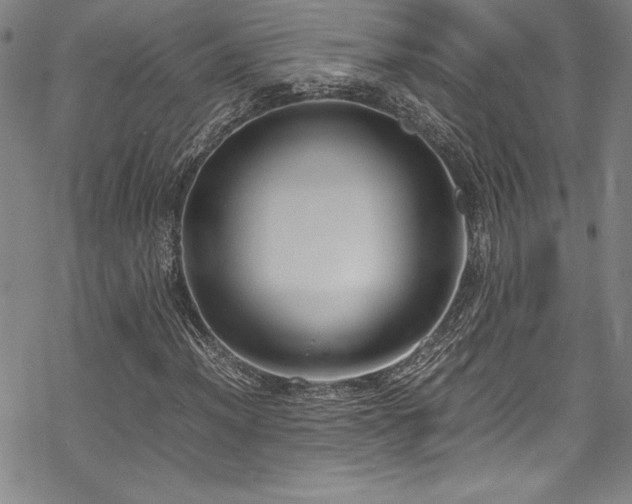 X0000069391012200605121205