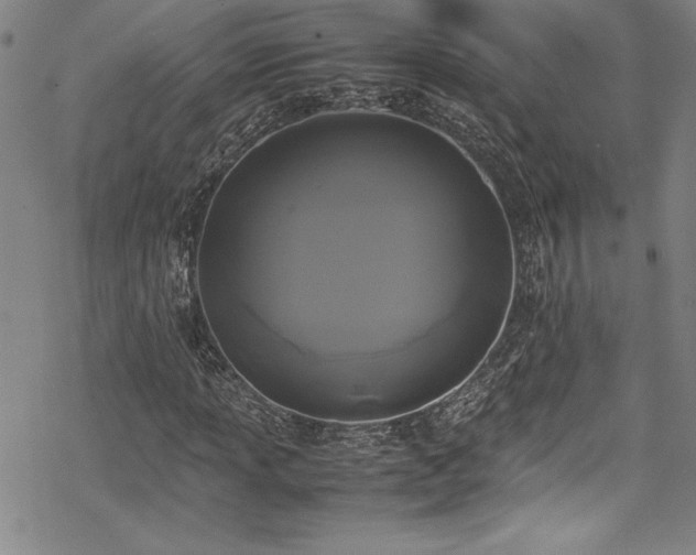 X0000069391013200605121205