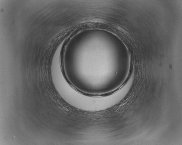 X0000069391014200605121205