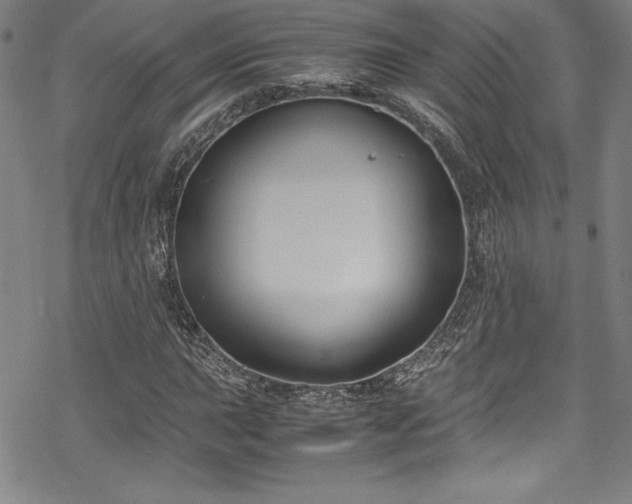 X0000069391015200605121205