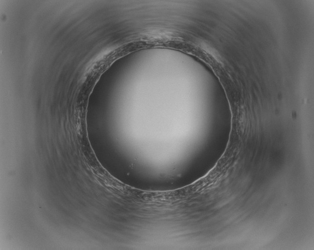 X0000069391016200605121205