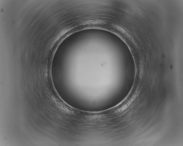 X0000069391017200605121206