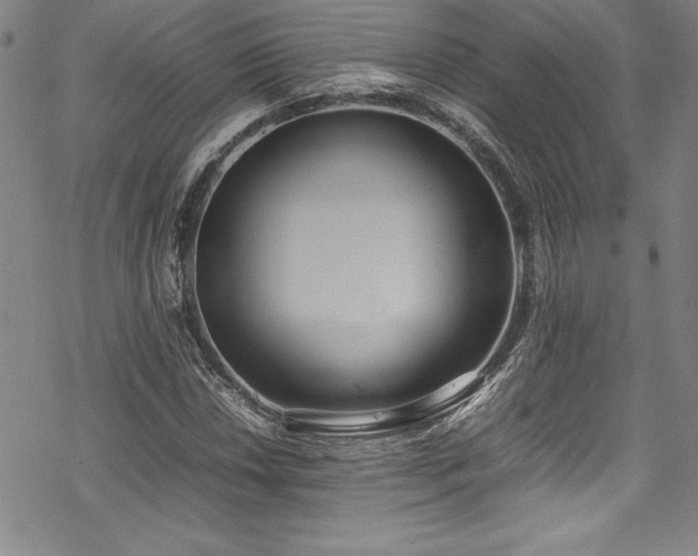 X0000069391018200605121206