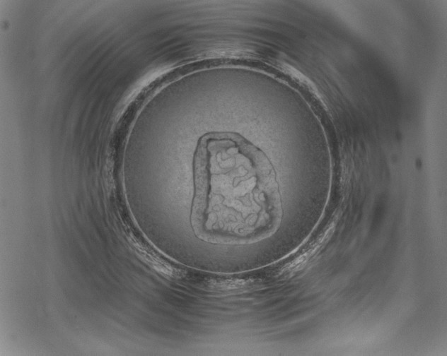 X0000069391019200605121206