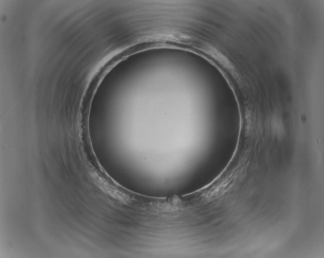 X0000069391020200605121206