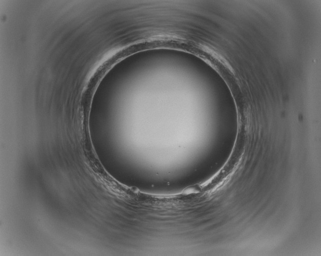 X0000069391021200605121206