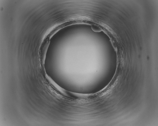 X0000069391022200605121206