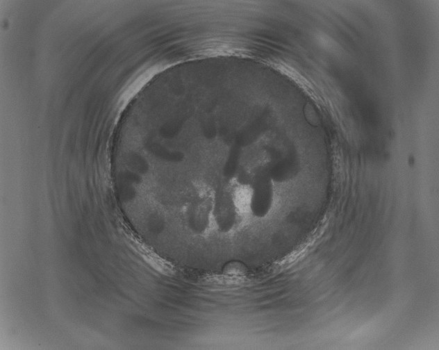 X0000069391023200605121206