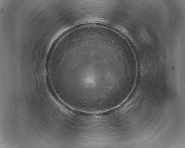 X0000069391024200605121206