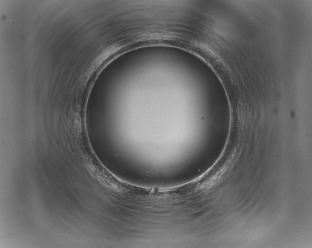 X0000069391025200605121206