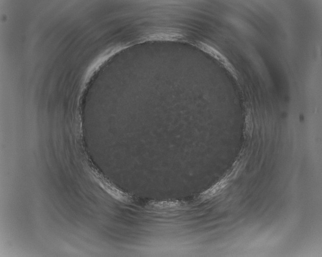 X0000069391027200605121206