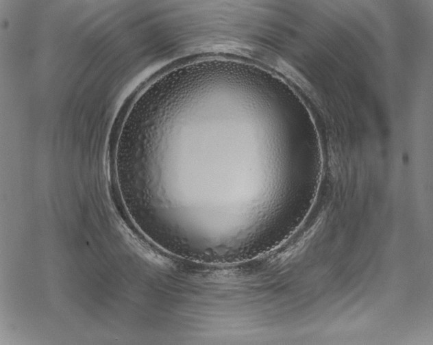 X0000069391028200605121206