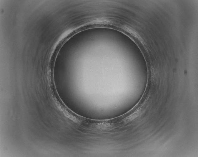 X0000069391029200605121206