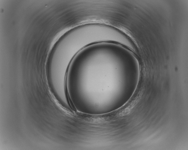 X0000069391030200605121206