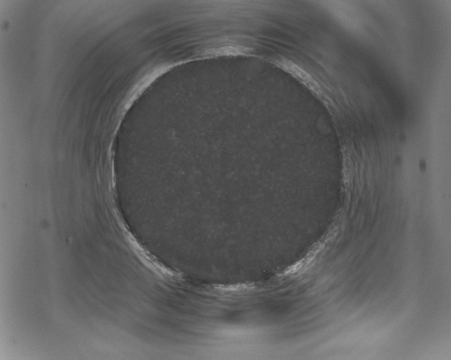 X0000069391031200605121206