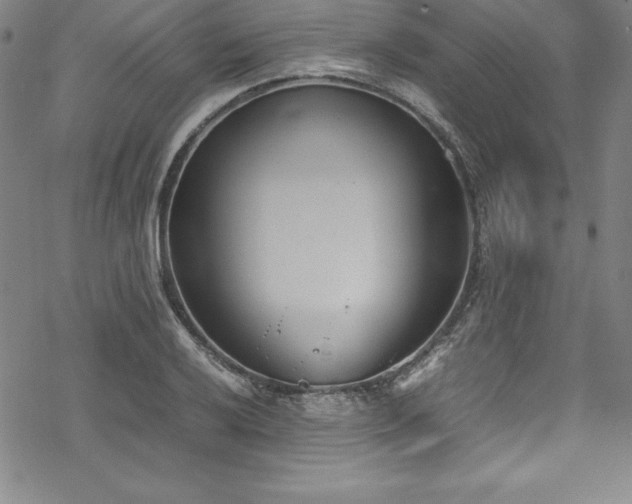 X0000069391032200605121206