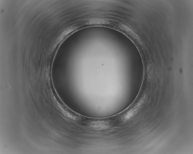 X0000069391033200605121206