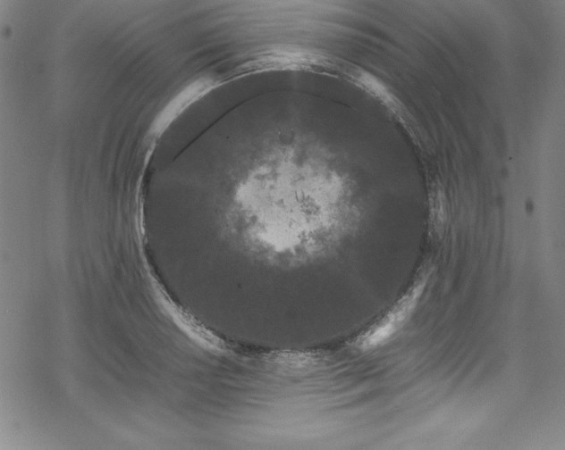 X0000069391034200605121206