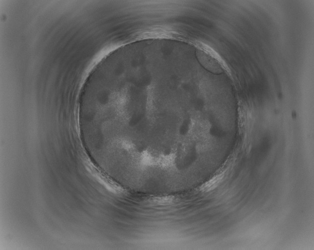 X0000069391035200605121206