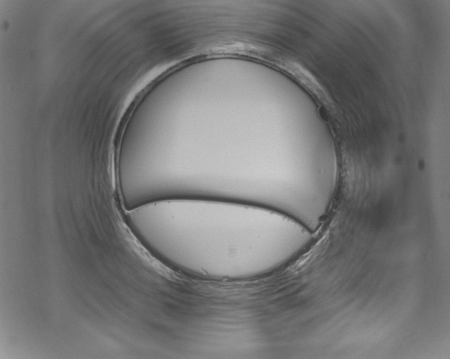 X0000069391036200605121206