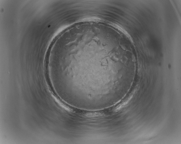 X0000069391037200605121206