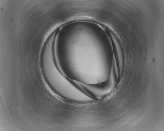 X0000069391038200605121206